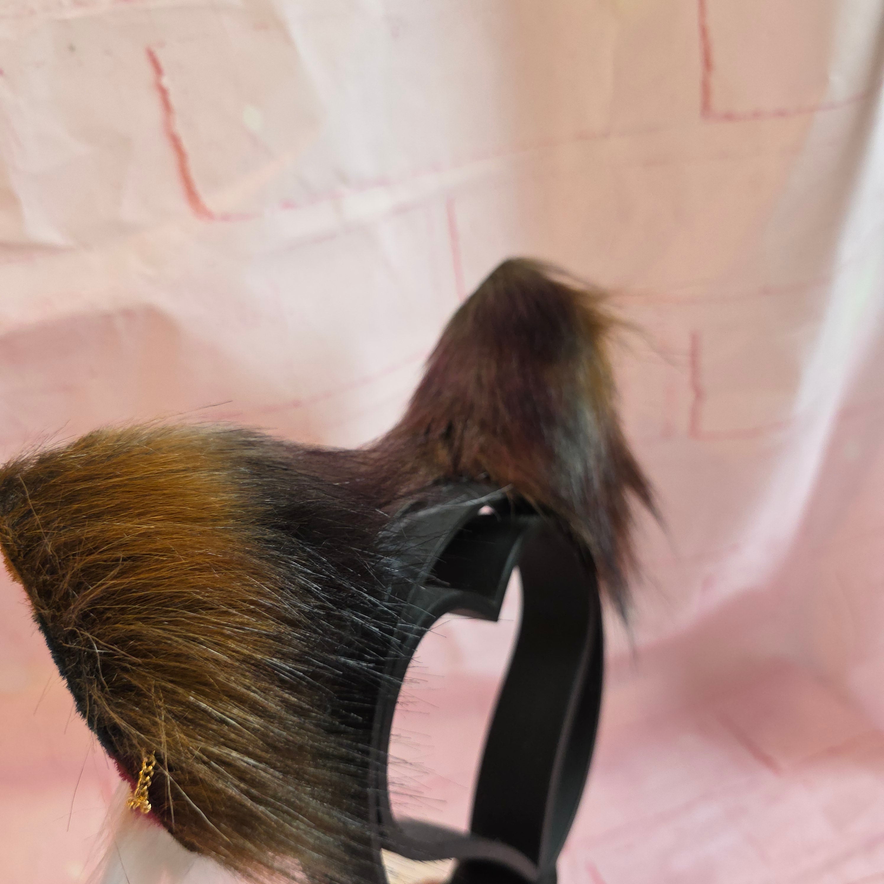 Autumn Sunset Cat Ears