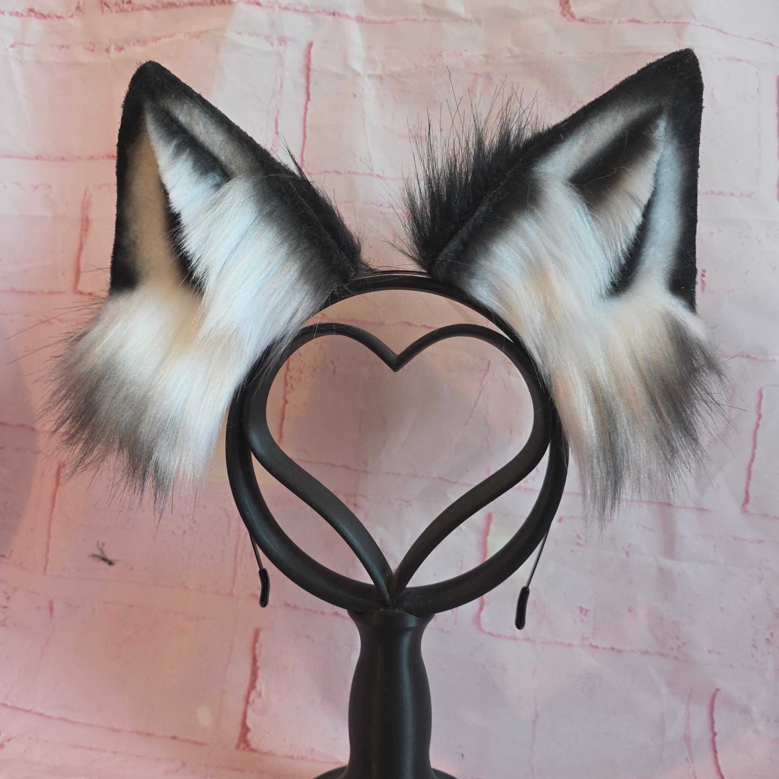 BORDER COLLIE Puppy Ears