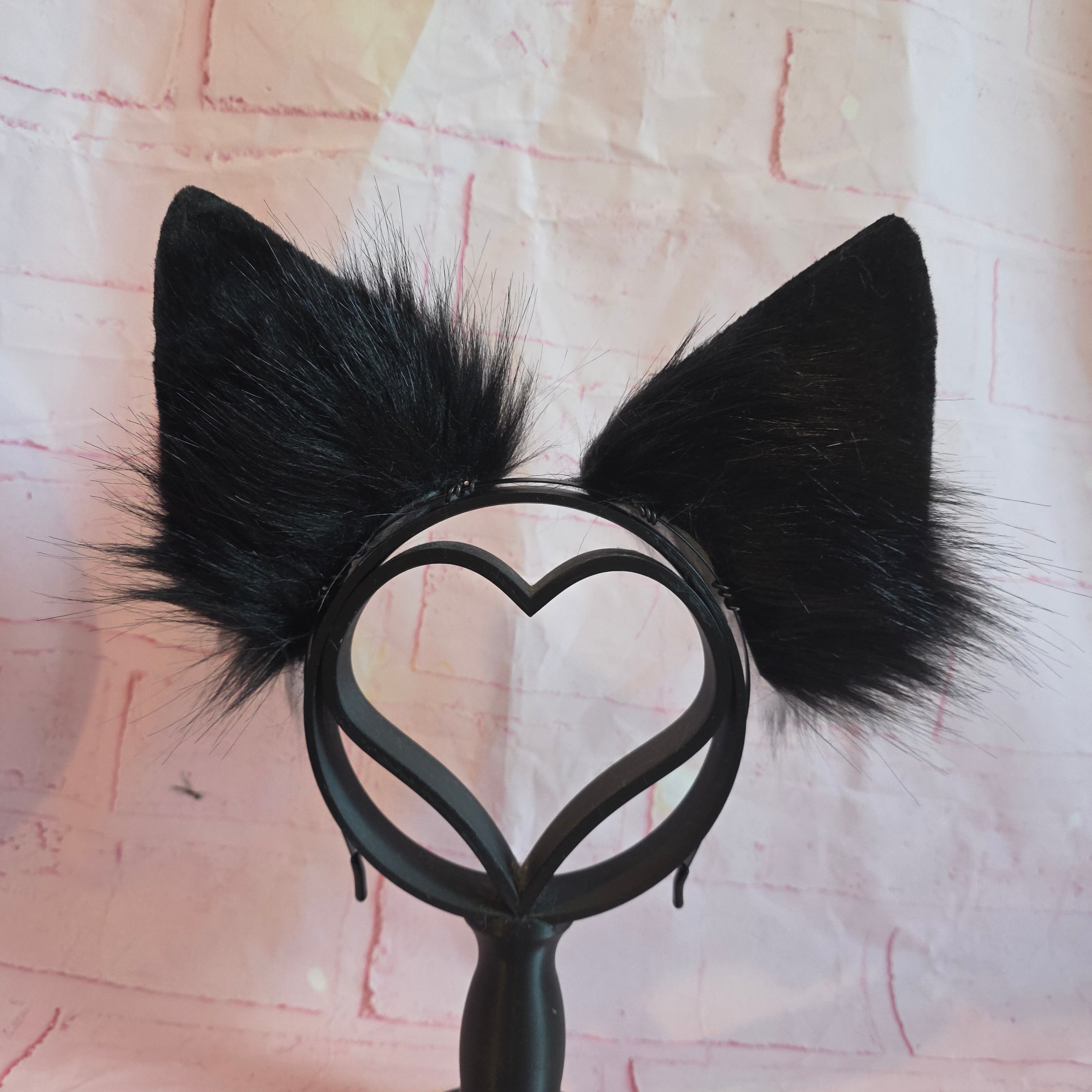 BORDER COLLIE Puppy Ears