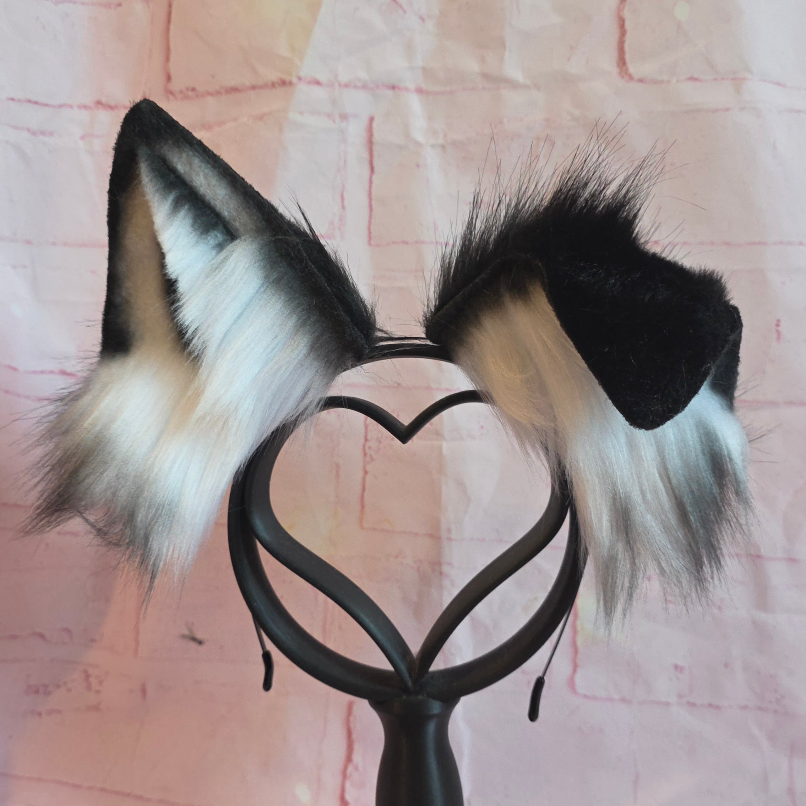 BORDER COLLIE Puppy Ears