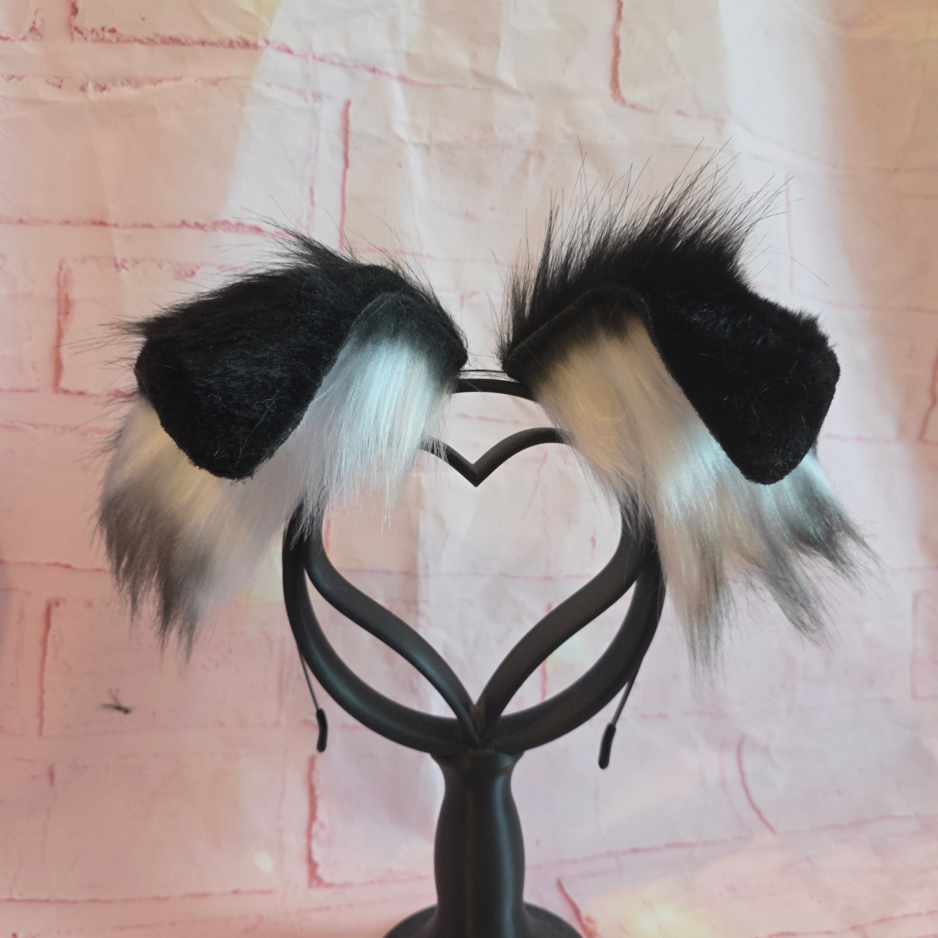 BORDER COLLIE Puppy Ears