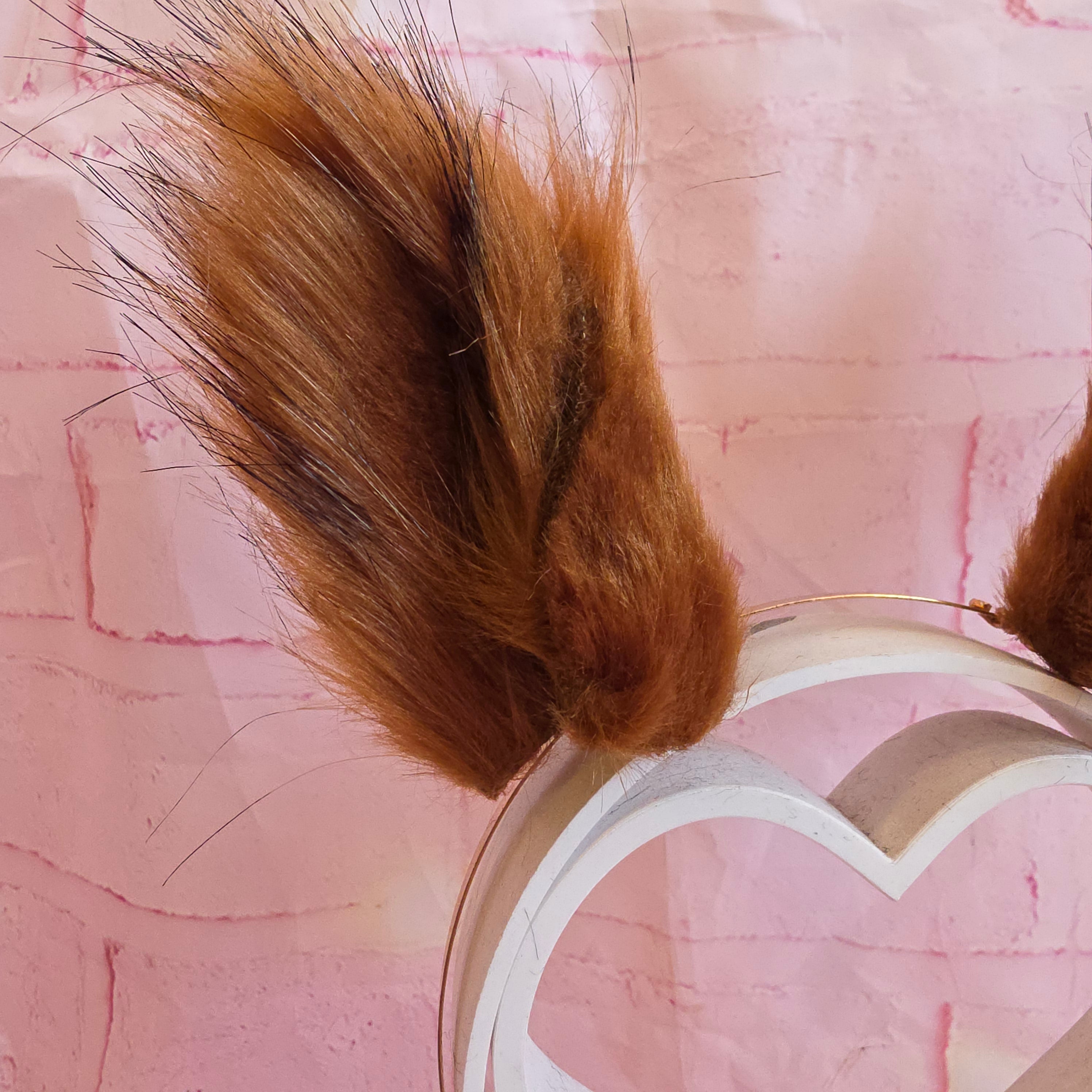Red Squirrel Ears