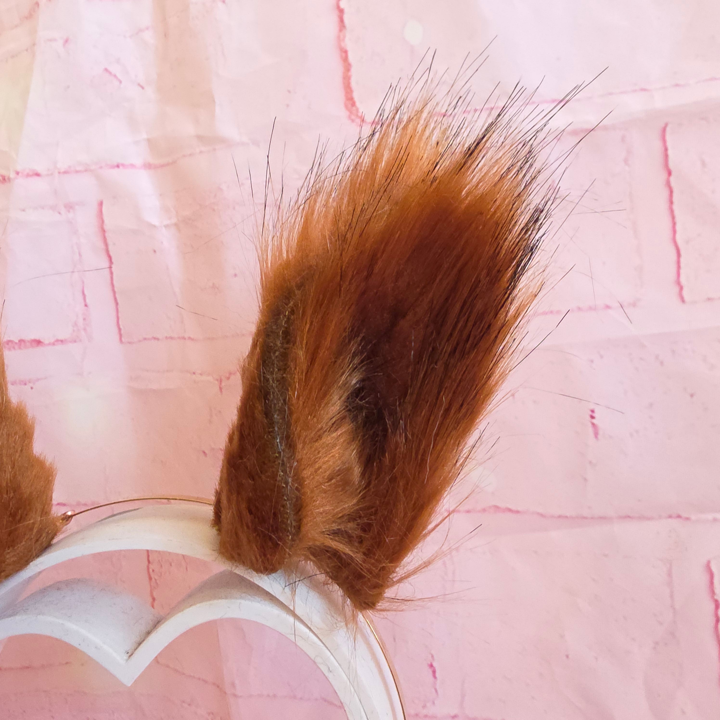 Red Squirrel Ears