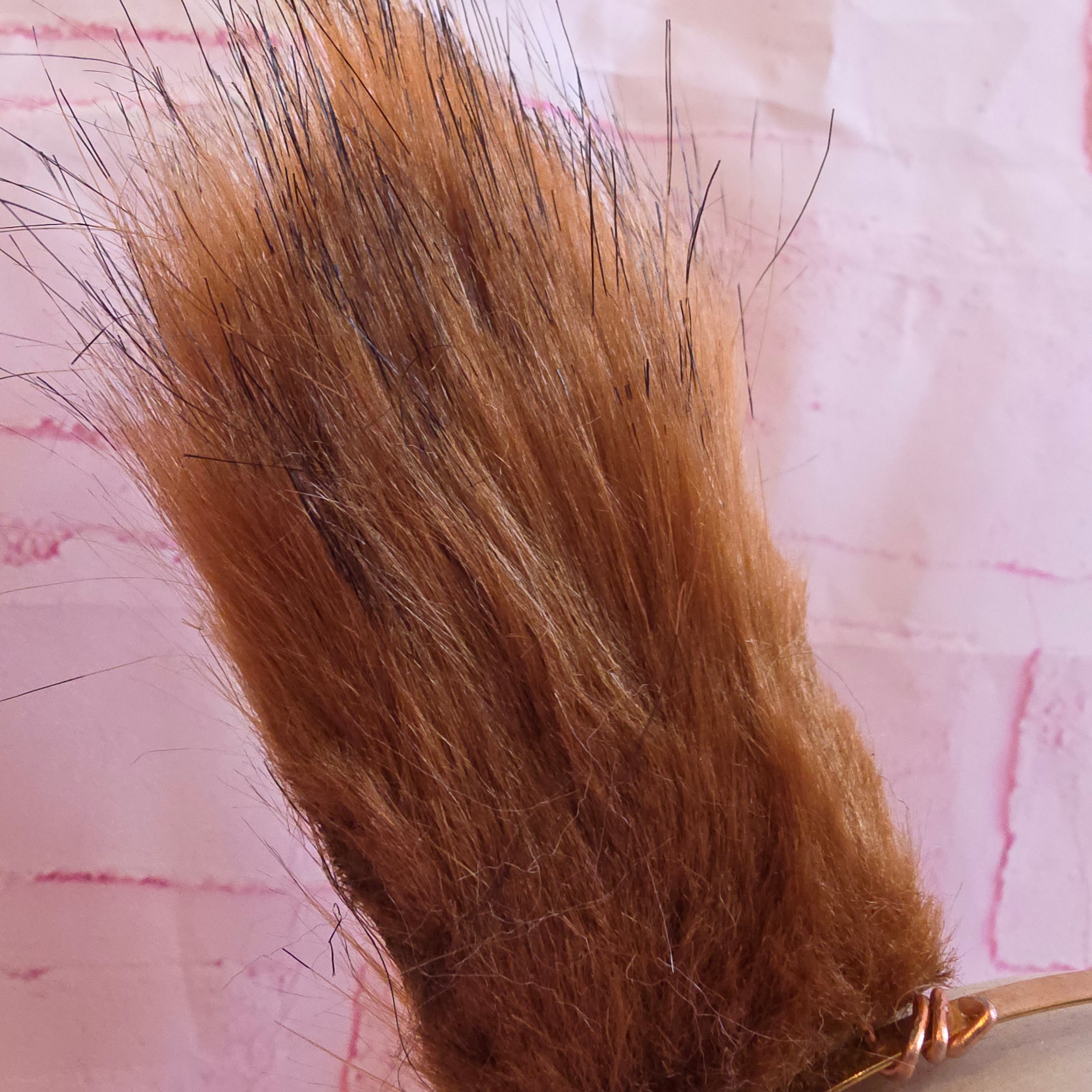 Red Squirrel Ears