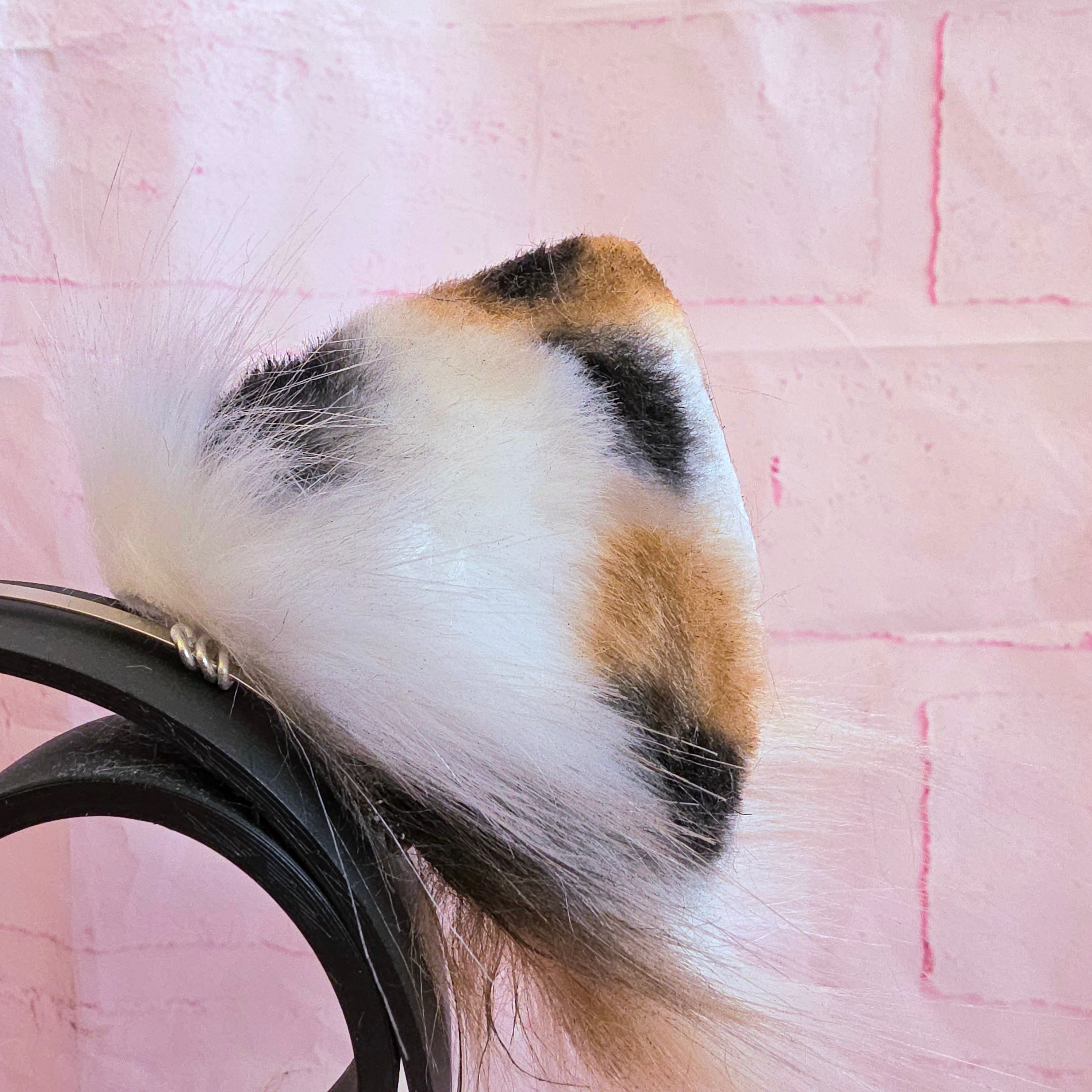 Calico Cat Ears