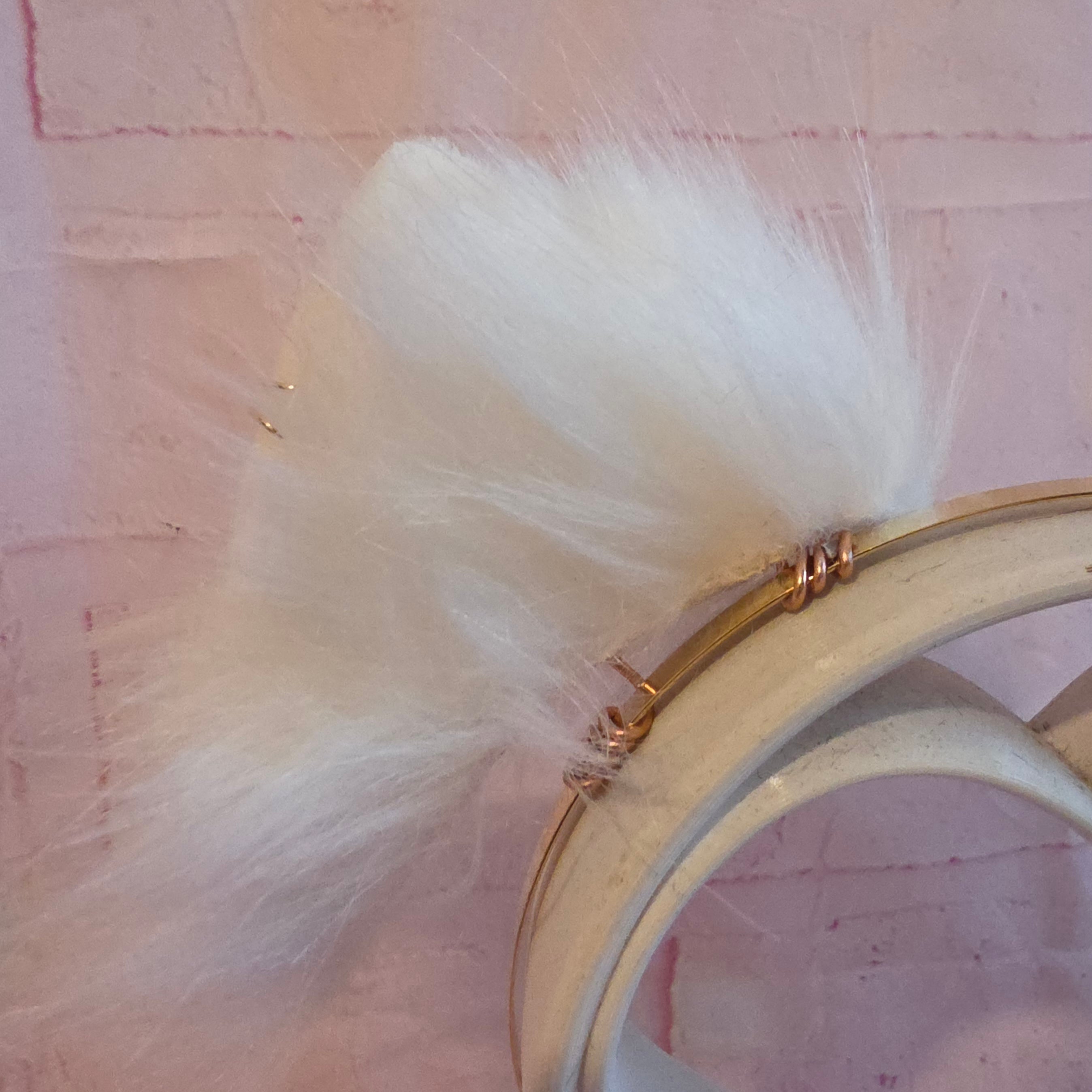 White Cat Ears, Fairy Coffin Cat