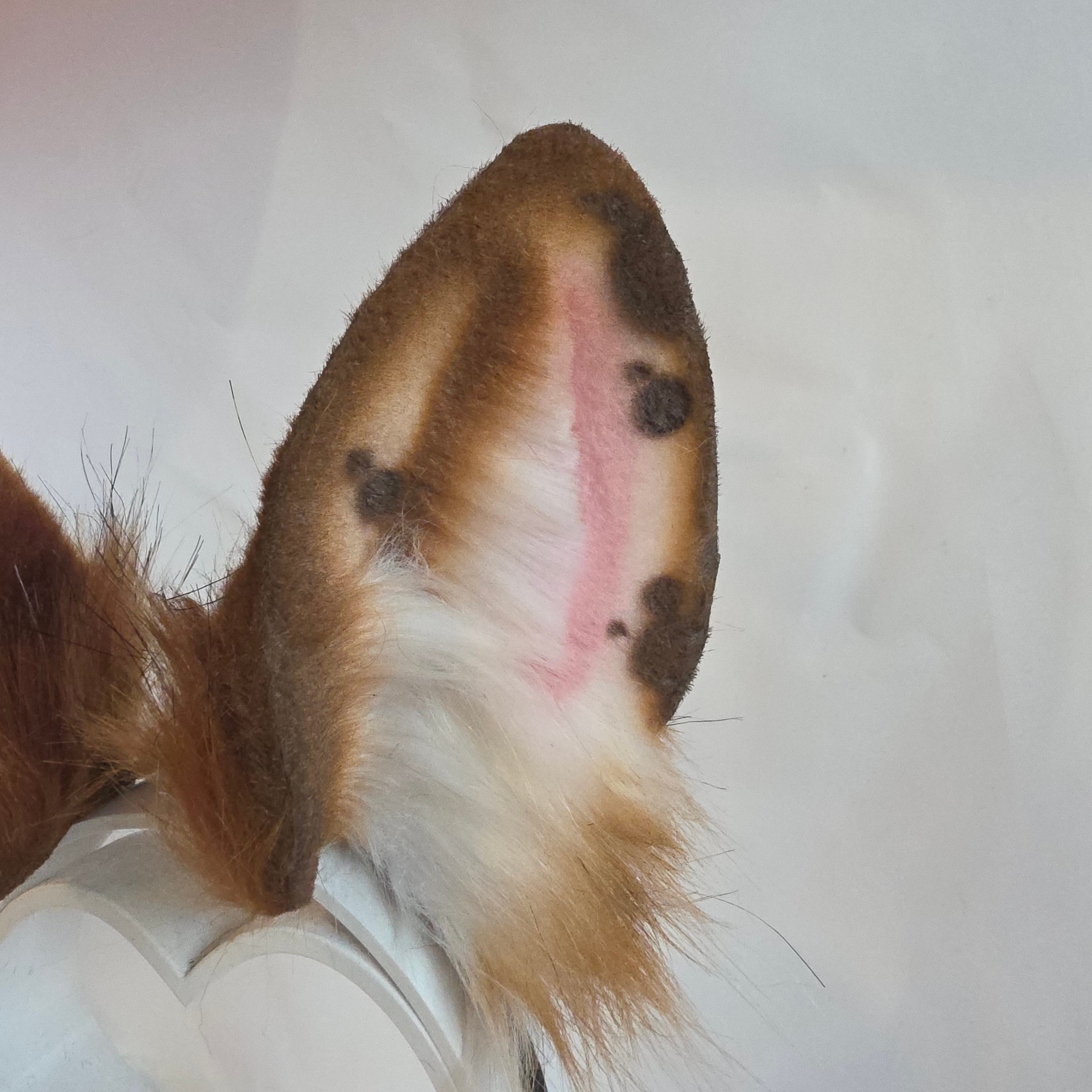 Ginger Bunny Ears, T-fhoghar