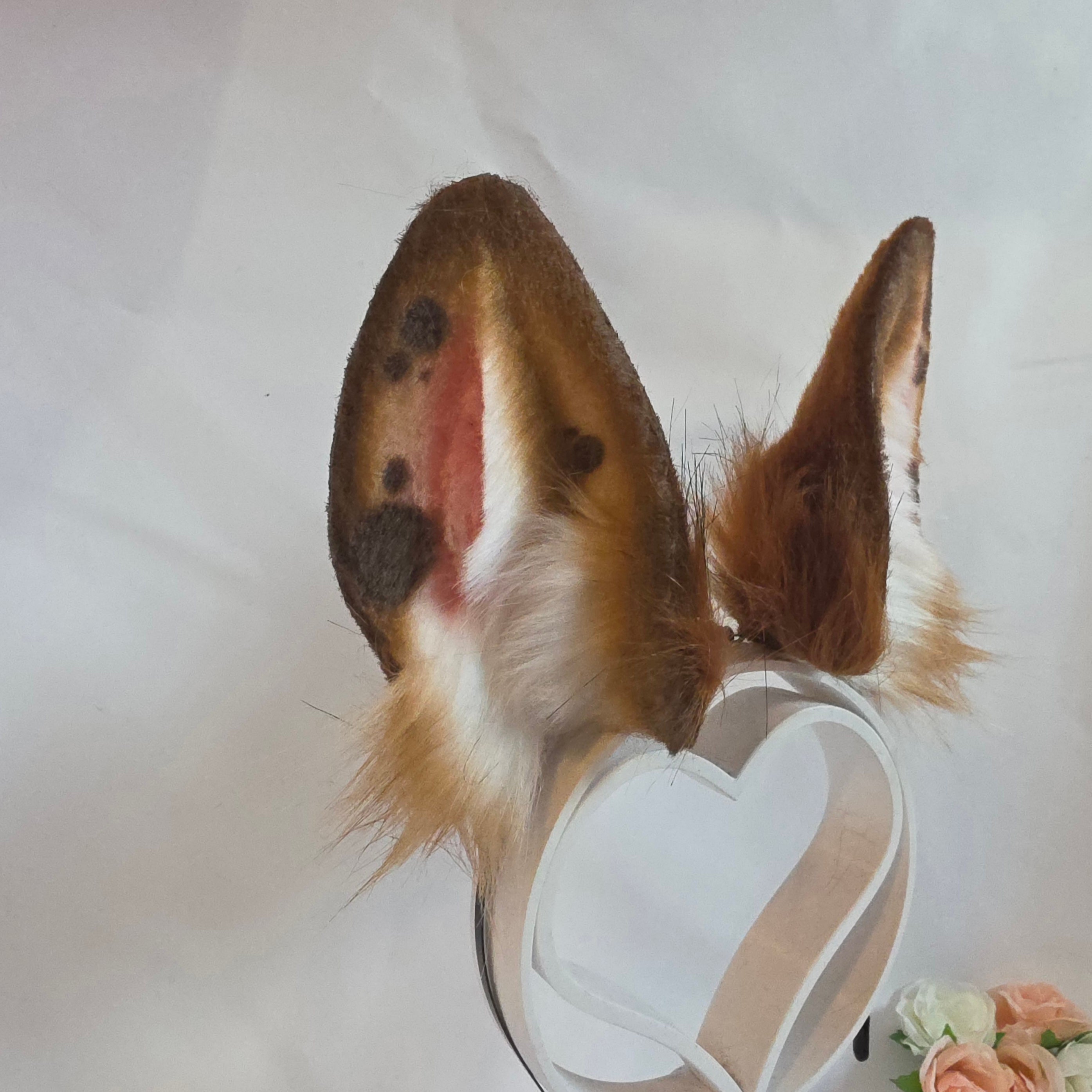 Ginger Bunny Ears, T-fhoghar