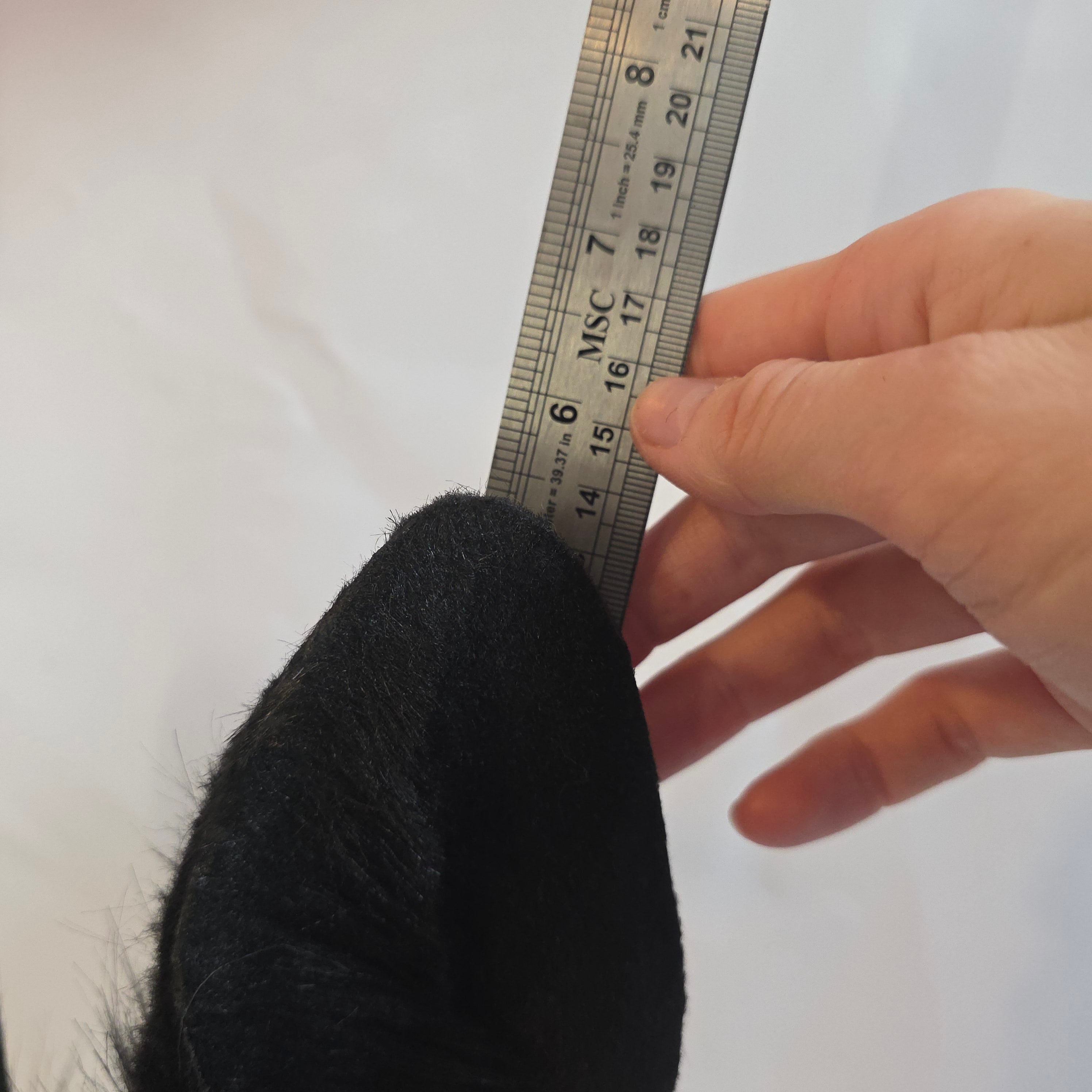 Black Bunny Ears, Morion Quartz