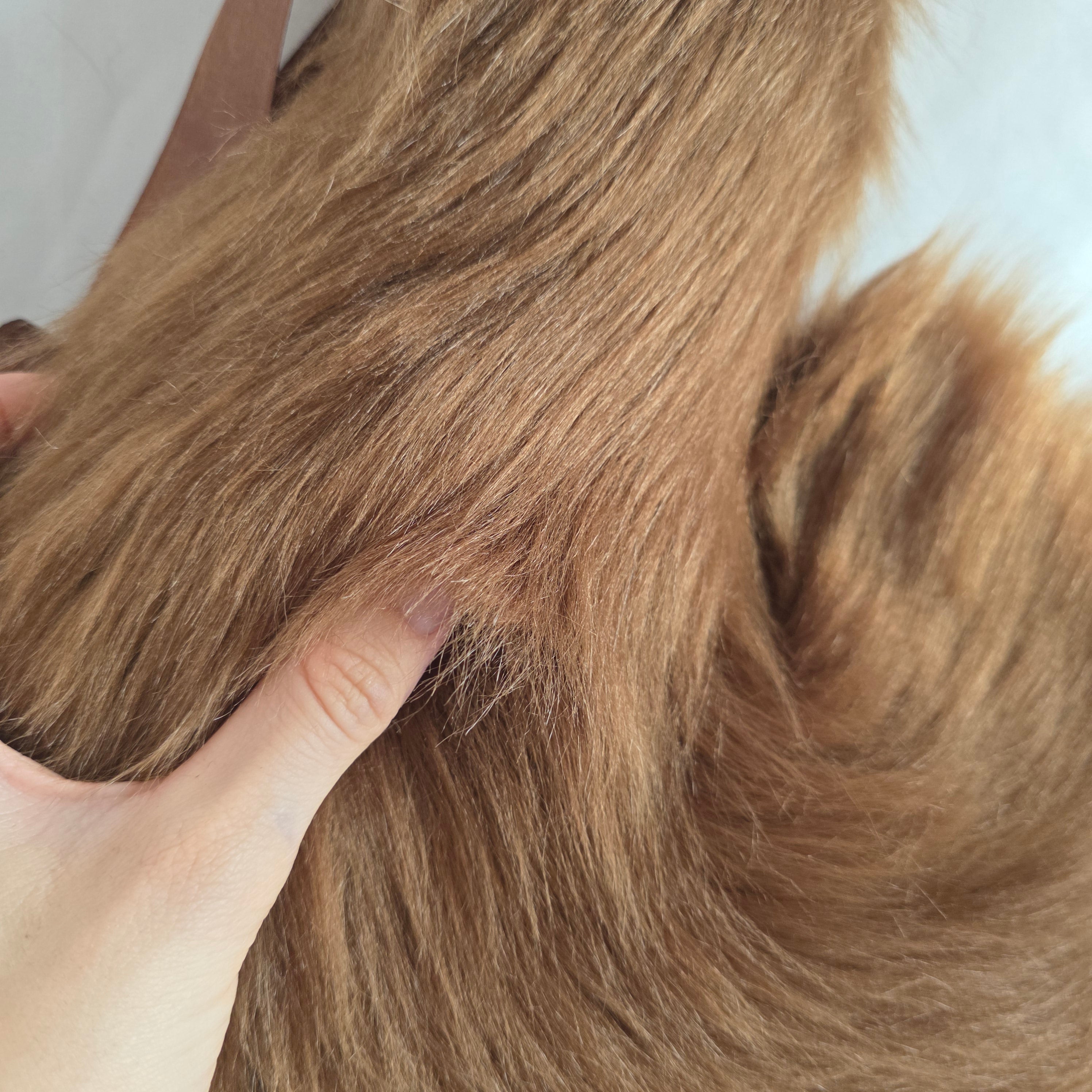 Glen Clova Puppy Ears & Tail Set