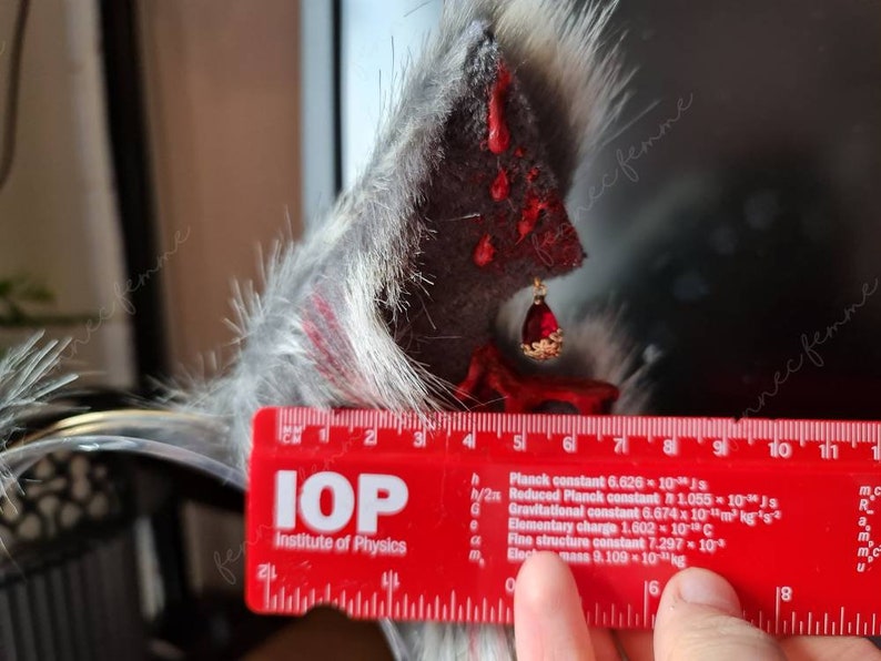 PET CEMETARY WOLF ears