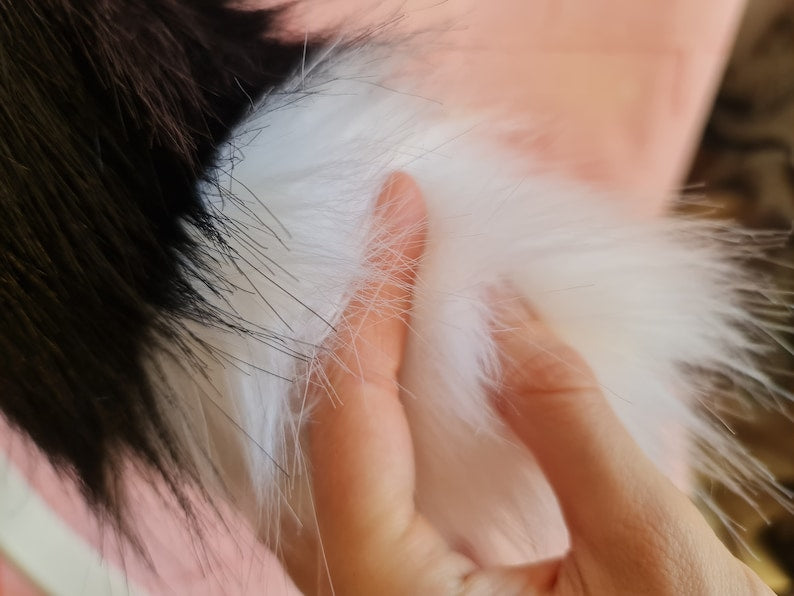 WHITE-TIPPED BLACK AND WHITE PUPPY Tail & Ear Set