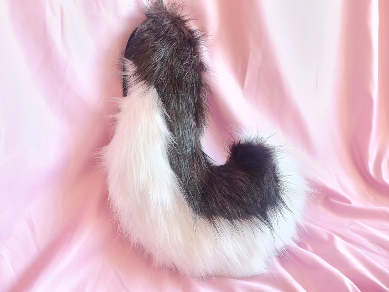 BROWN SHIBA PUPPY tail