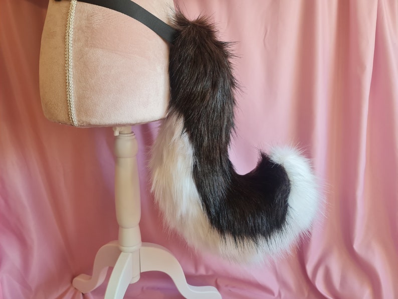 BROWN SHIBA PUPPY tail