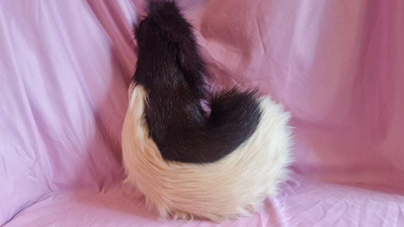 CARAMEL PUPPY tail and ears set