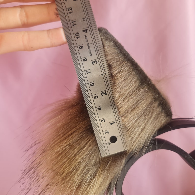 BUTTERSCOTCH PUPPY tail and ears set