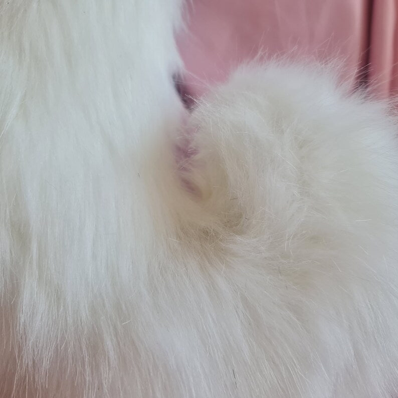 SNOW PUPPY Ears and Tail