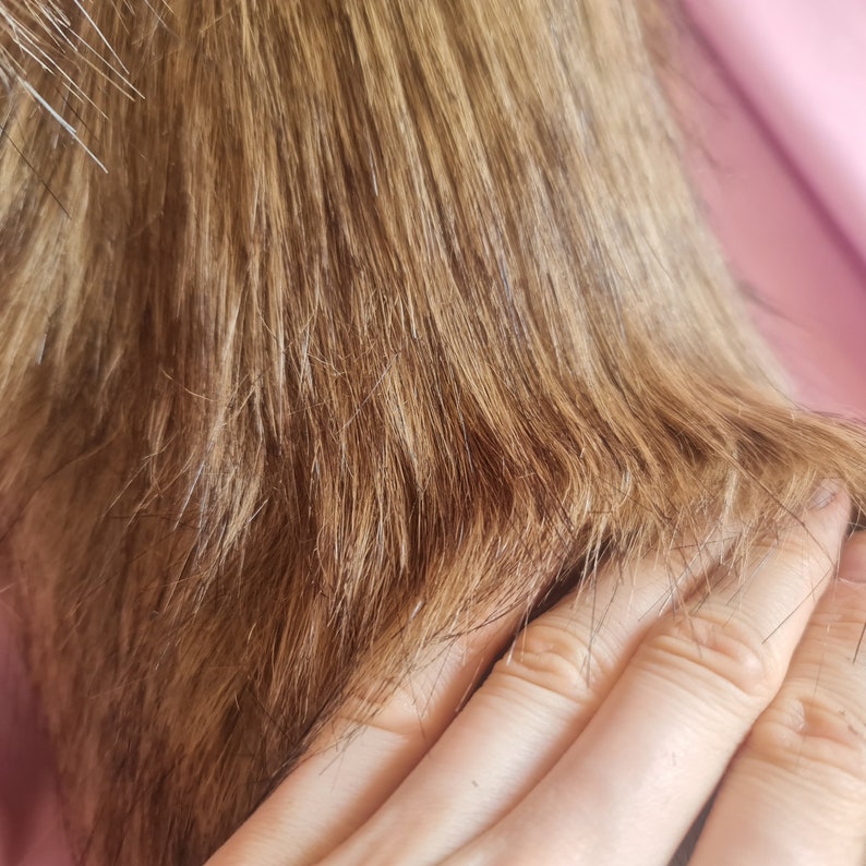 BUTTERSCOTCH PUPPY tail and ears set