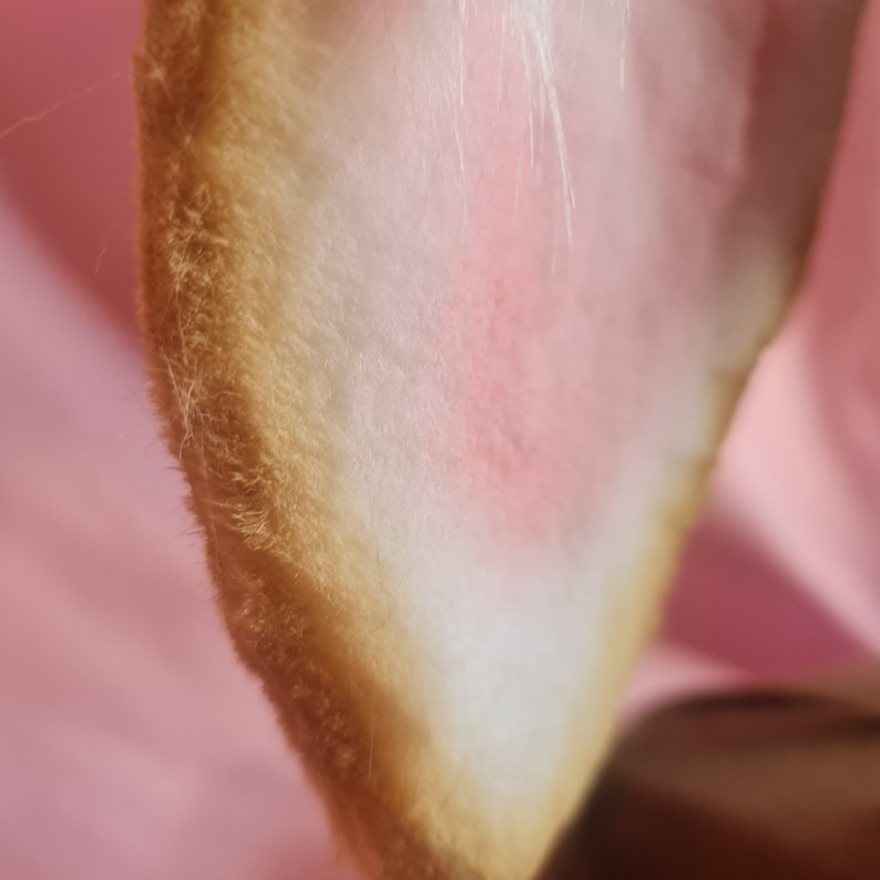 BLONDE LOP BUNNY ears