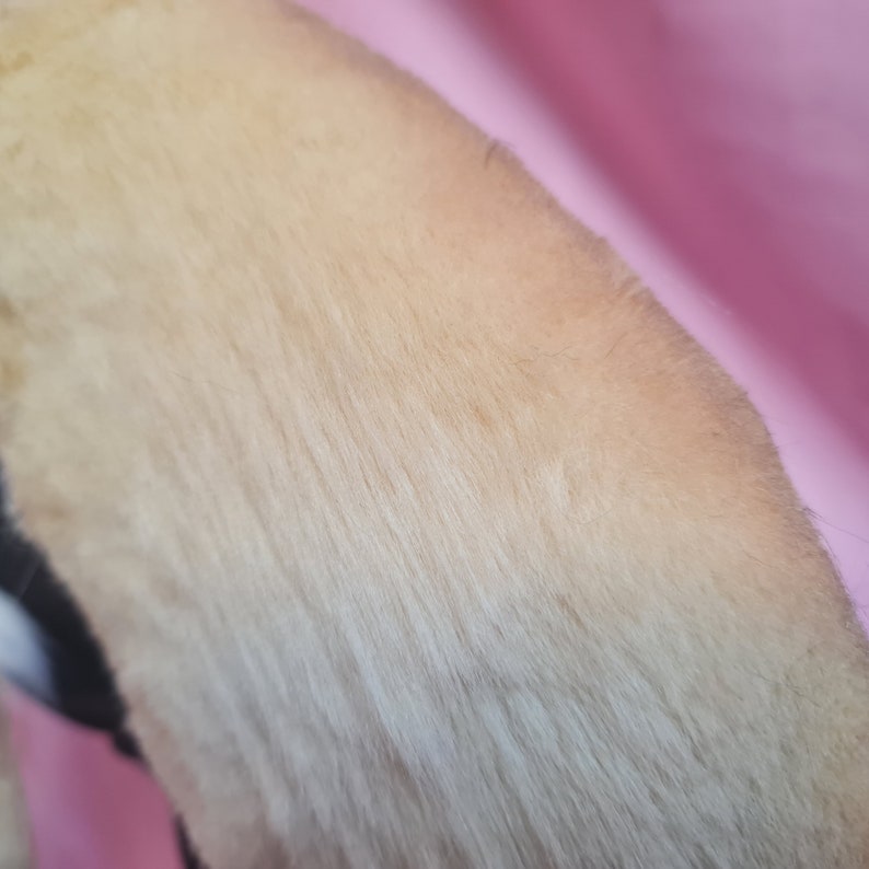 BLONDE LOP BUNNY ears