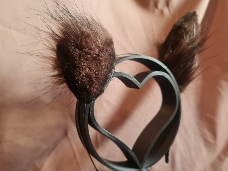 SMALL BRUNETTE PUPPY ears