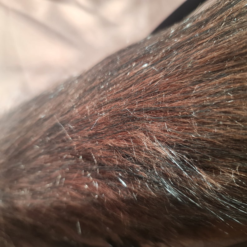 BRUNETTE CAT tail and ears set