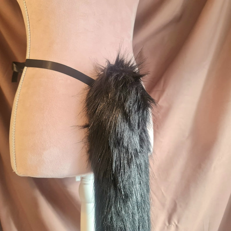 BLACK CAT Tail and Ears