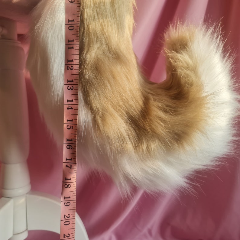 Shiba Inu Puppy Ears and Tail