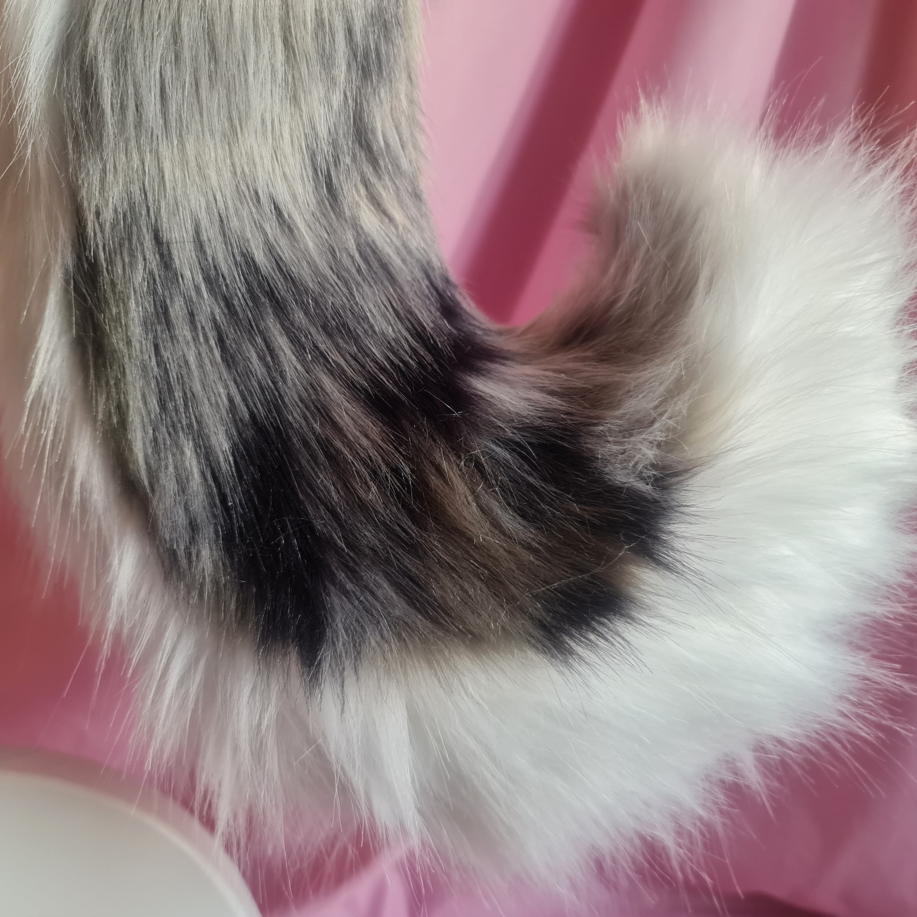 Storm Cloud Puppy Set