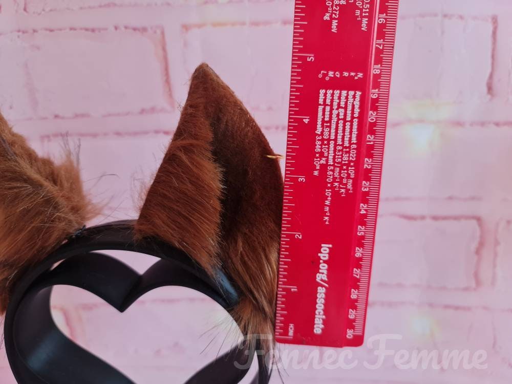 FOX tail and ear set