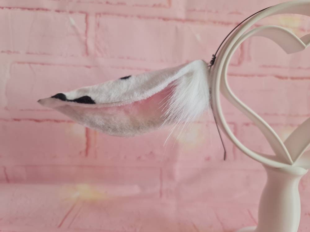 Milk Cow Ears
