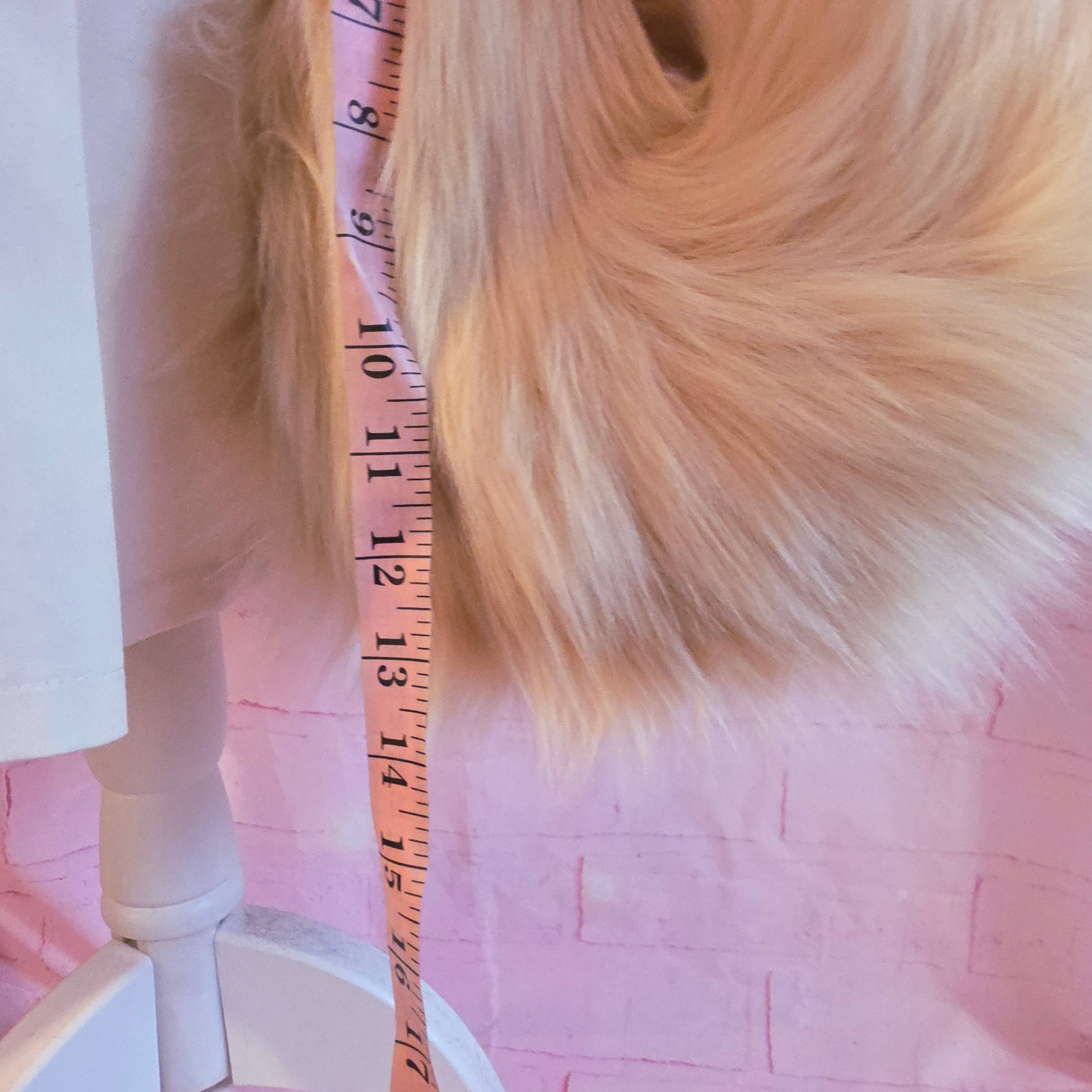 Golden Retriever Puppy Tail & Ears