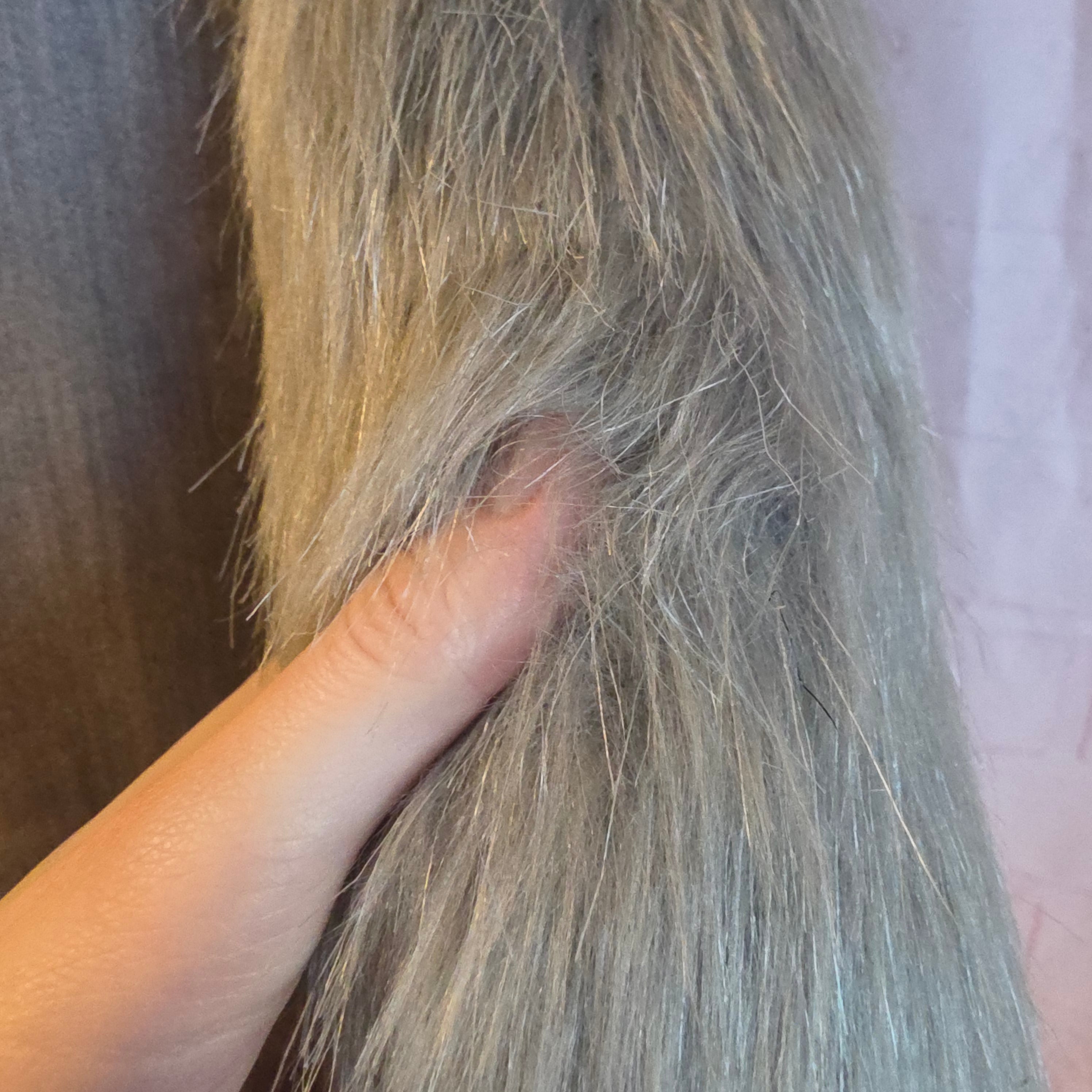 Light Grey Tail Keychain