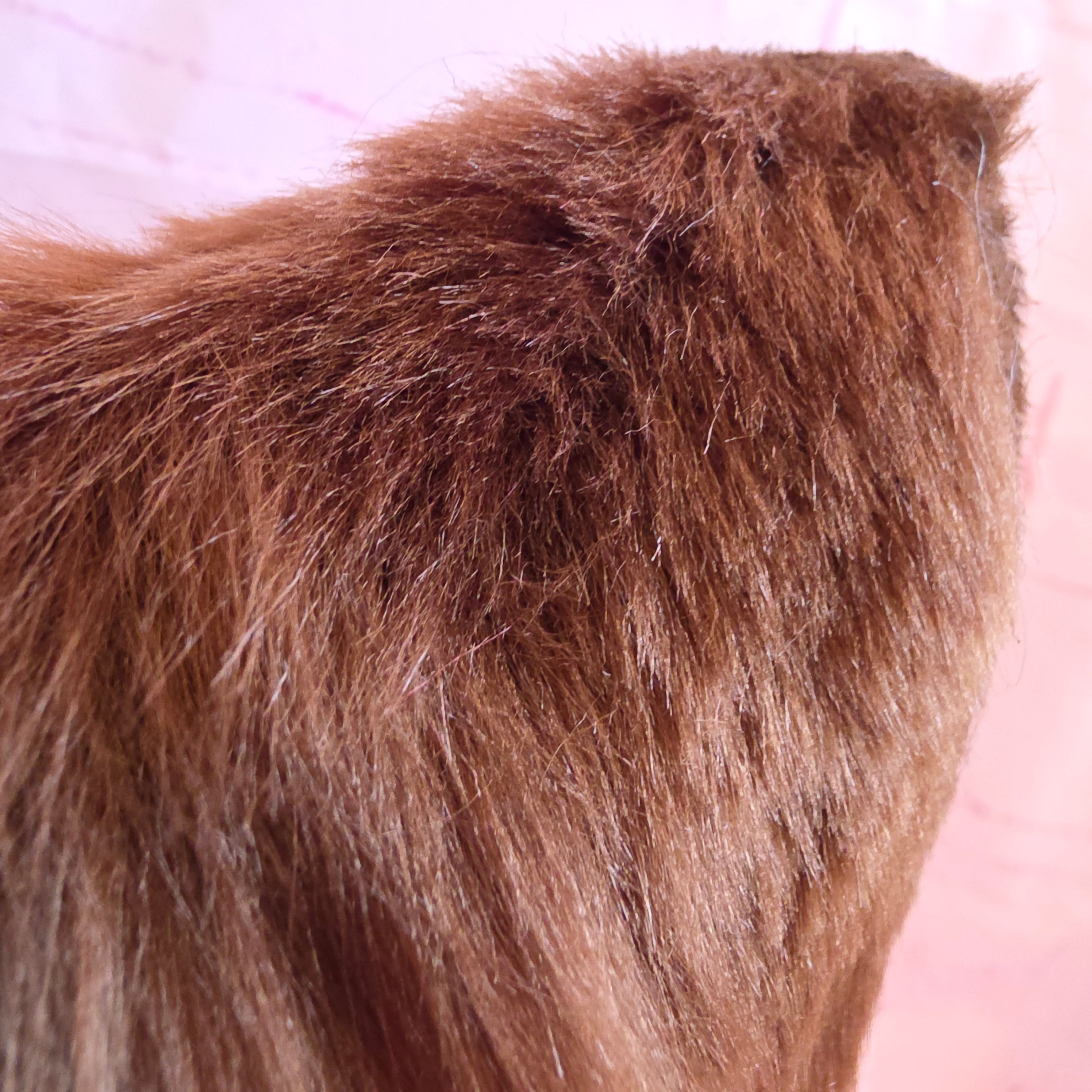 Light Brown Cat Ears