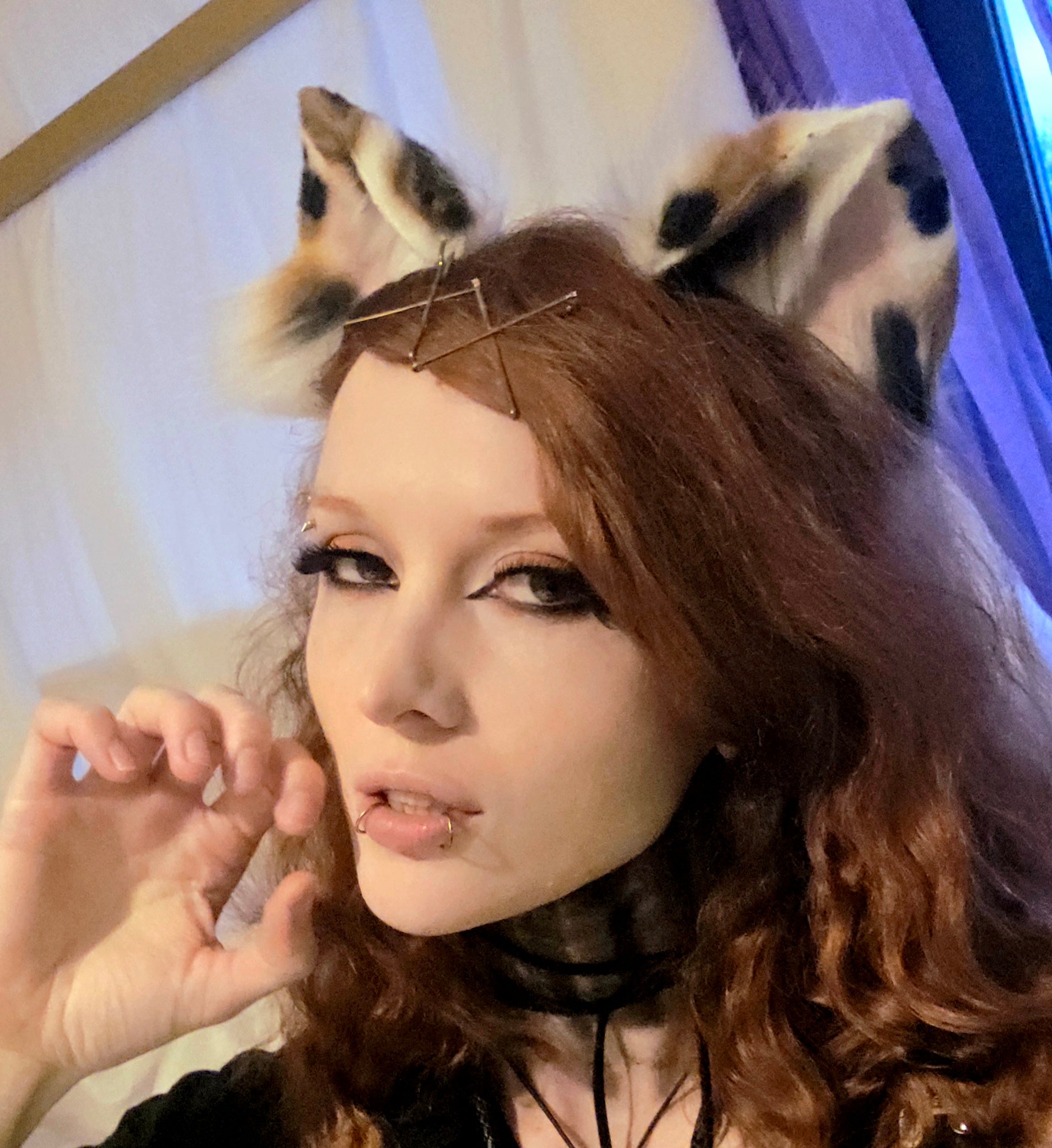 Calico Cat Ears