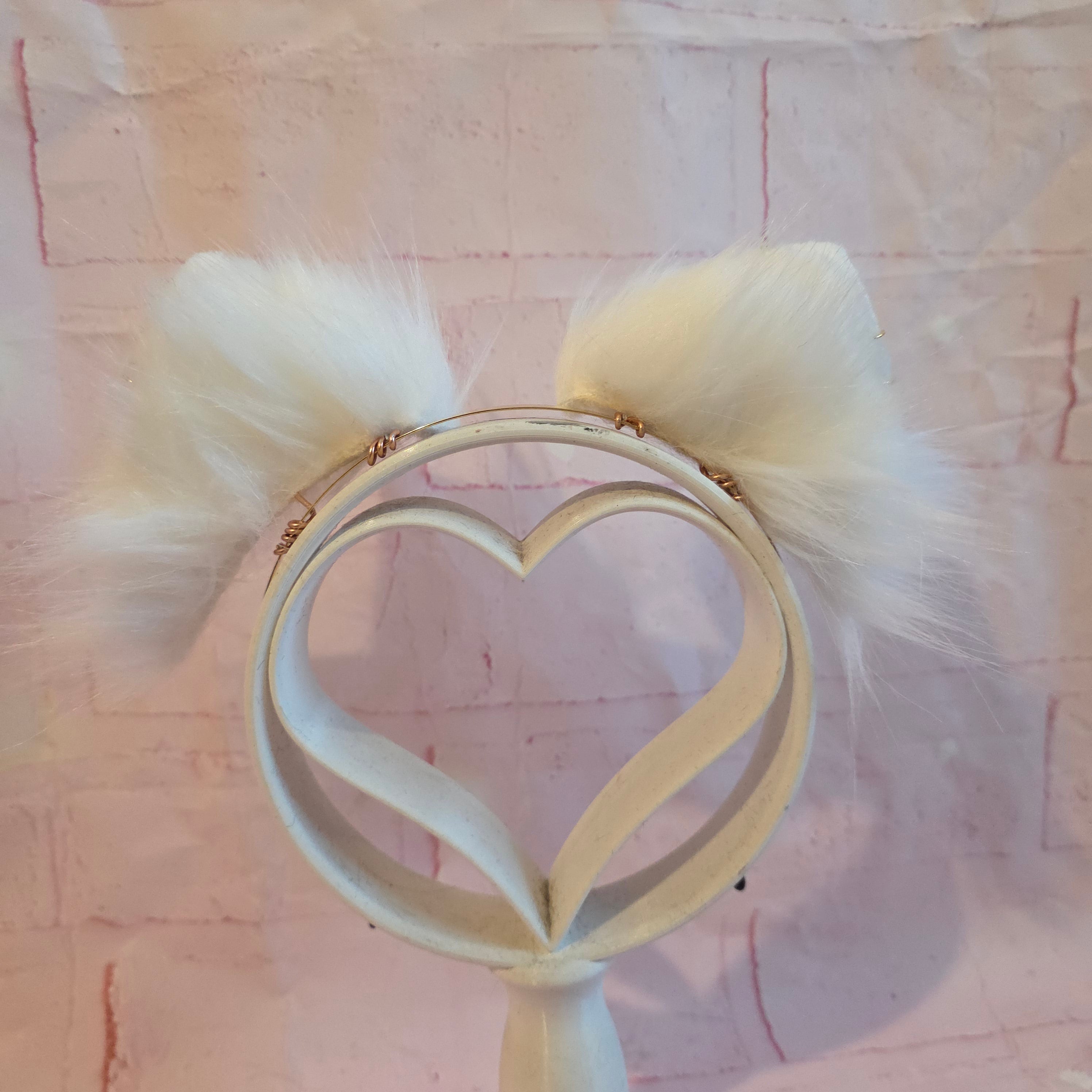 White Cat Ears, Fairy Coffin Cat