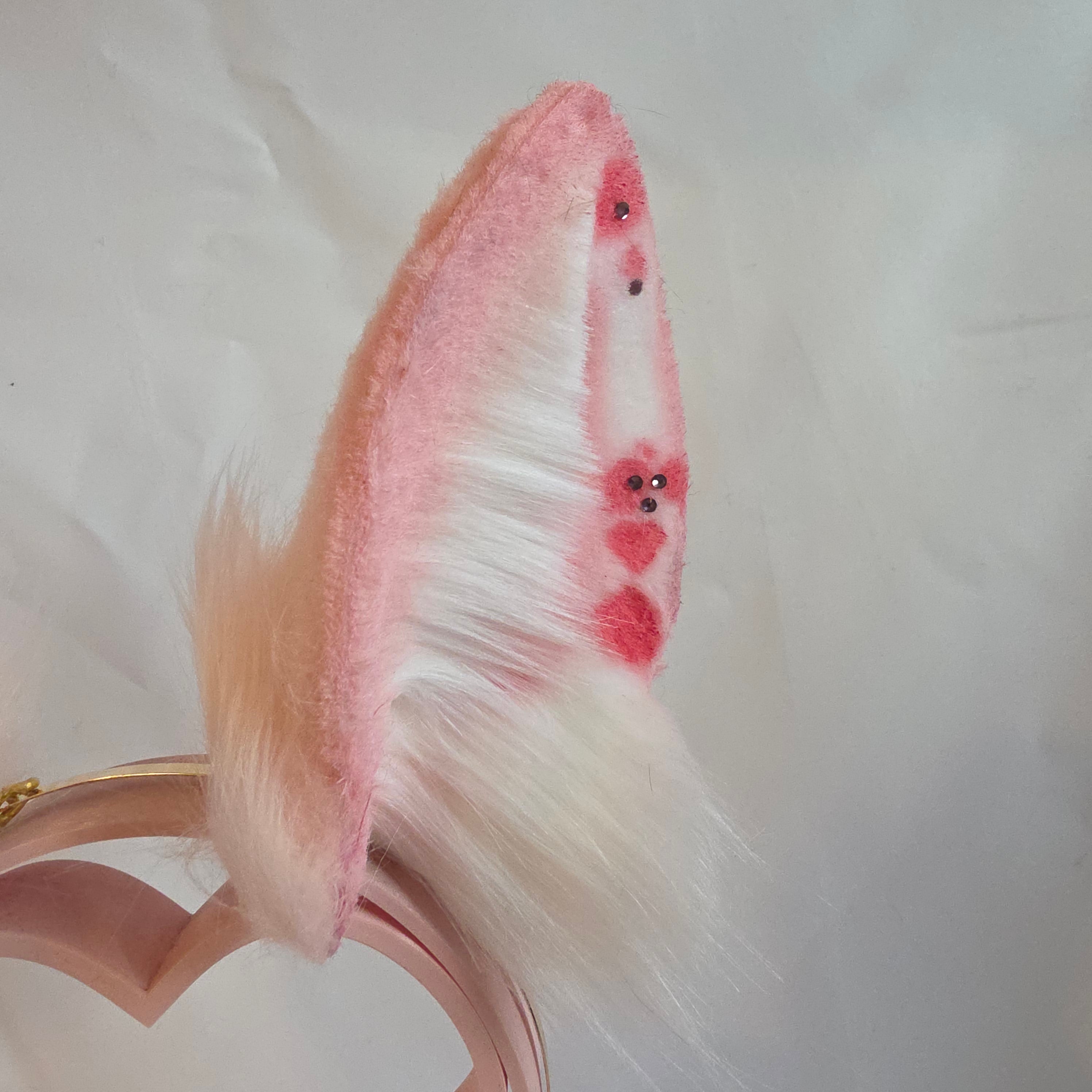 Pink Bunny Ears, Armeria Maritima