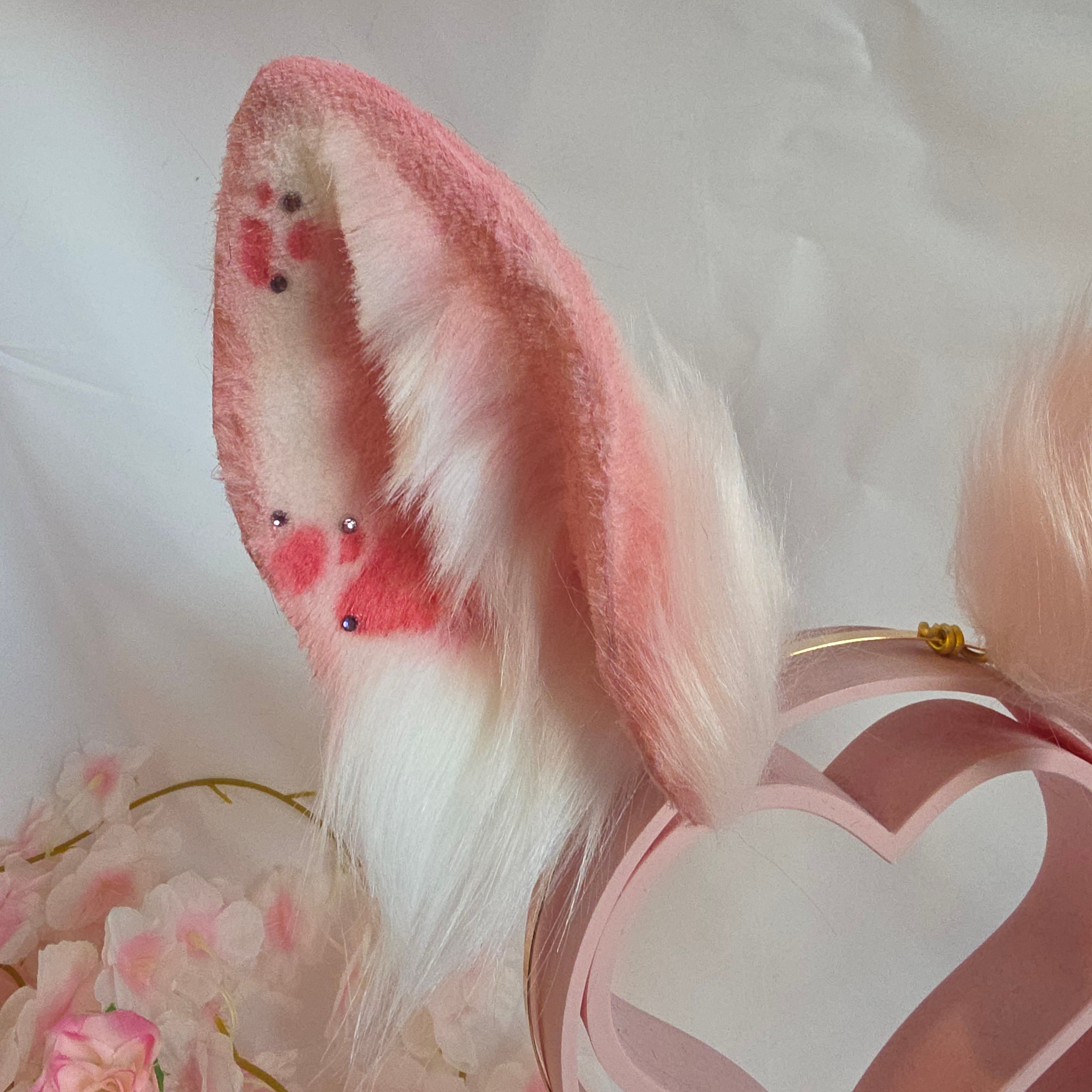 Pink Bunny Ears, Armeria Maritima