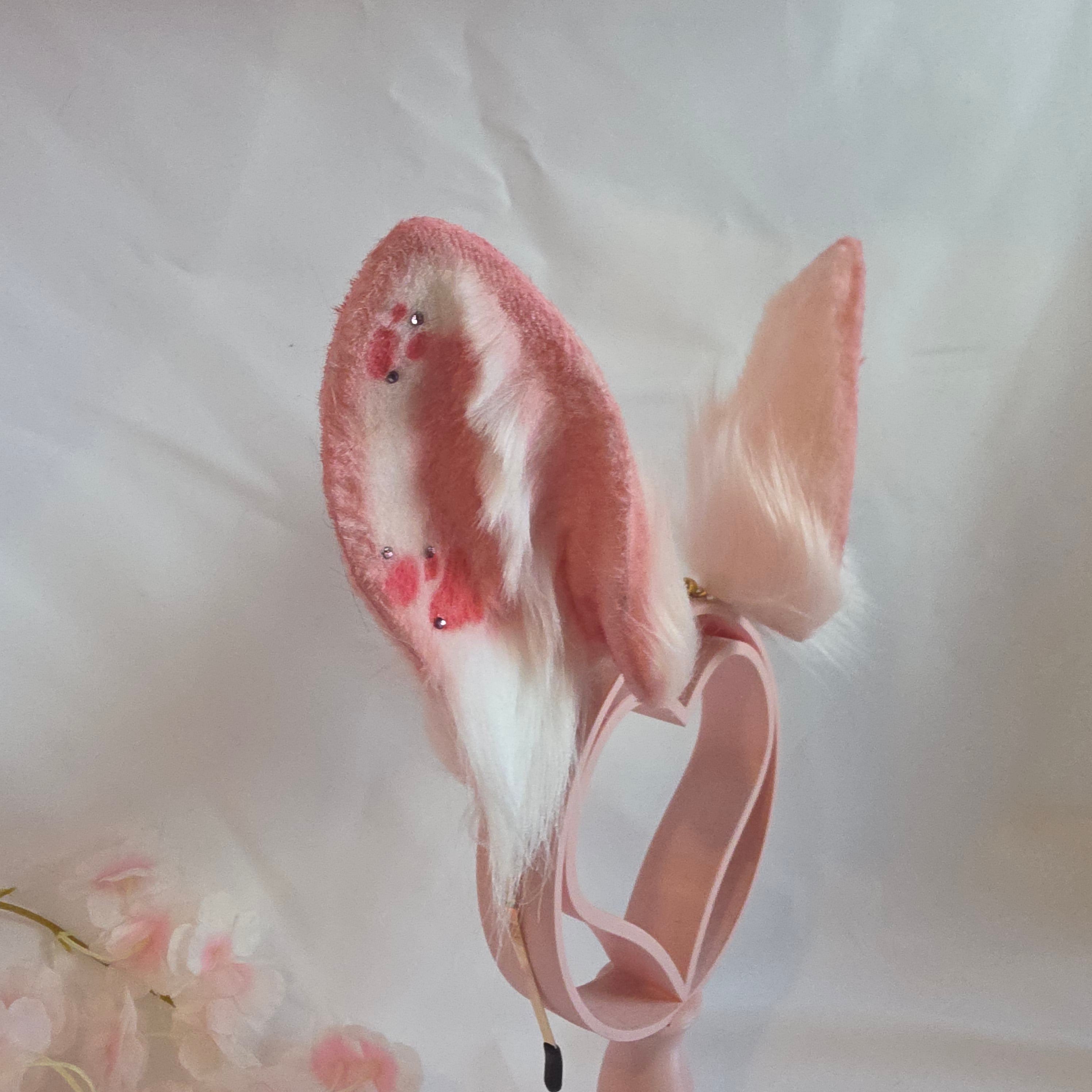 Pink Bunny Ears, Armeria Maritima