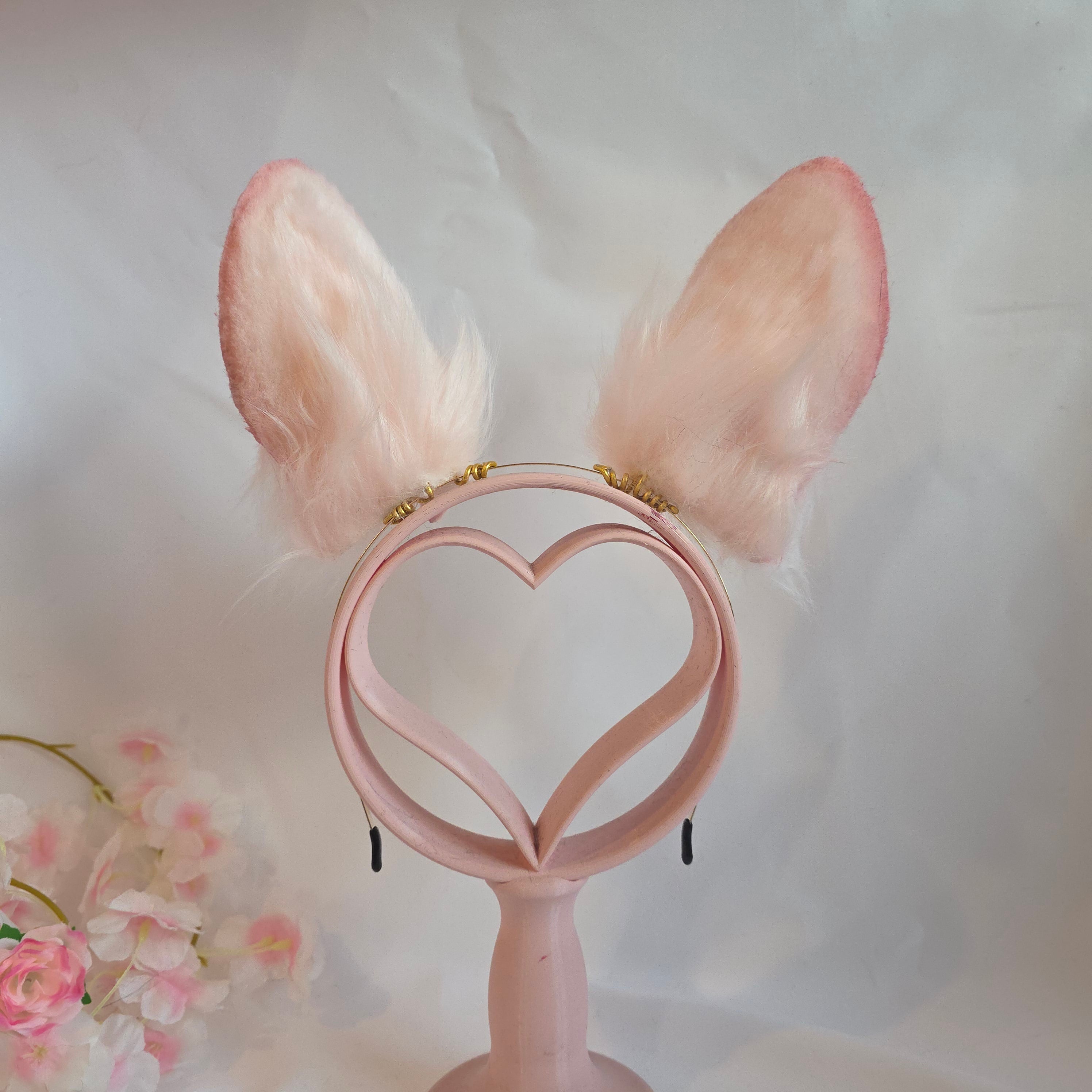 Pink Bunny Ears, Armeria Maritima