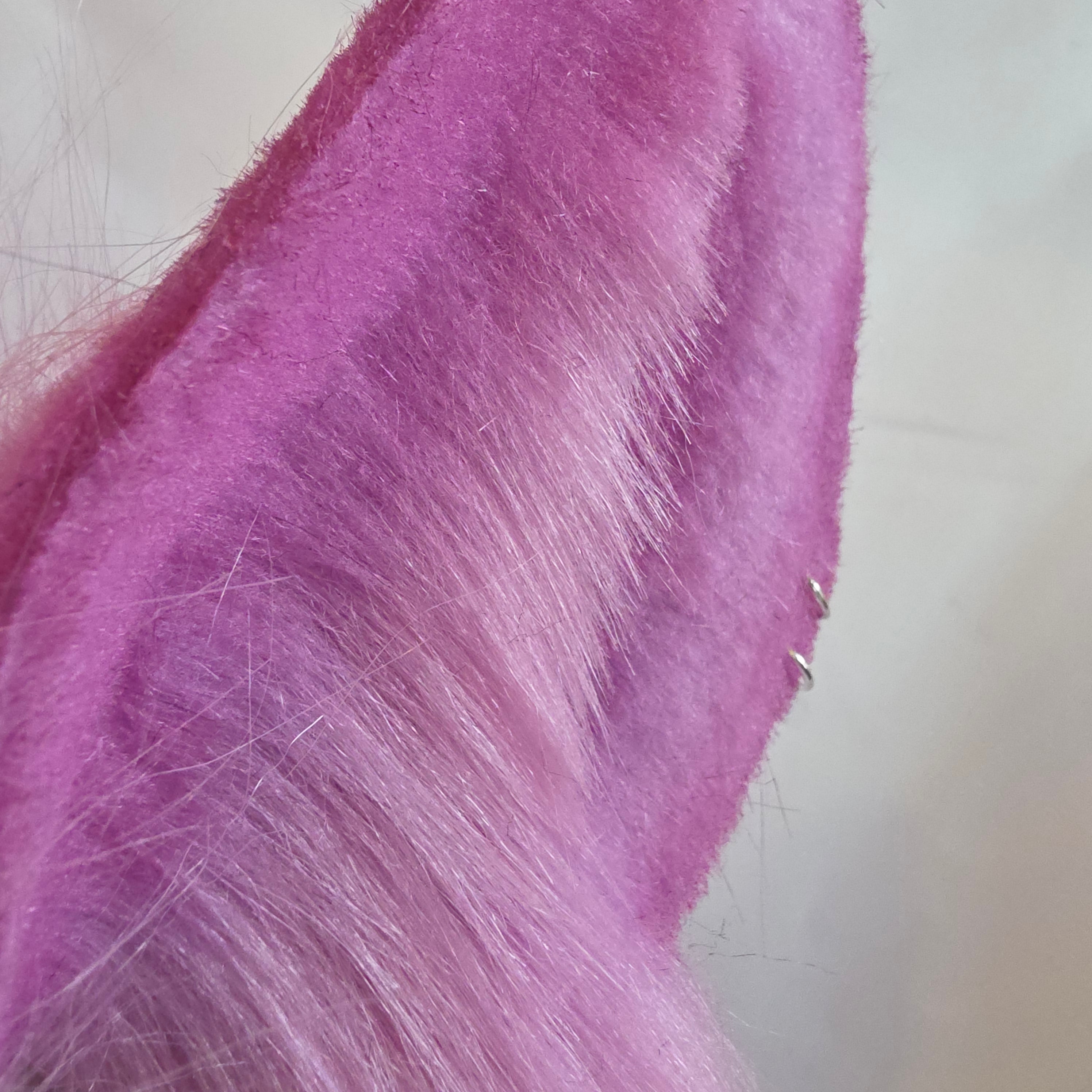 Purple Bunny Ears, Heather in Glendoll