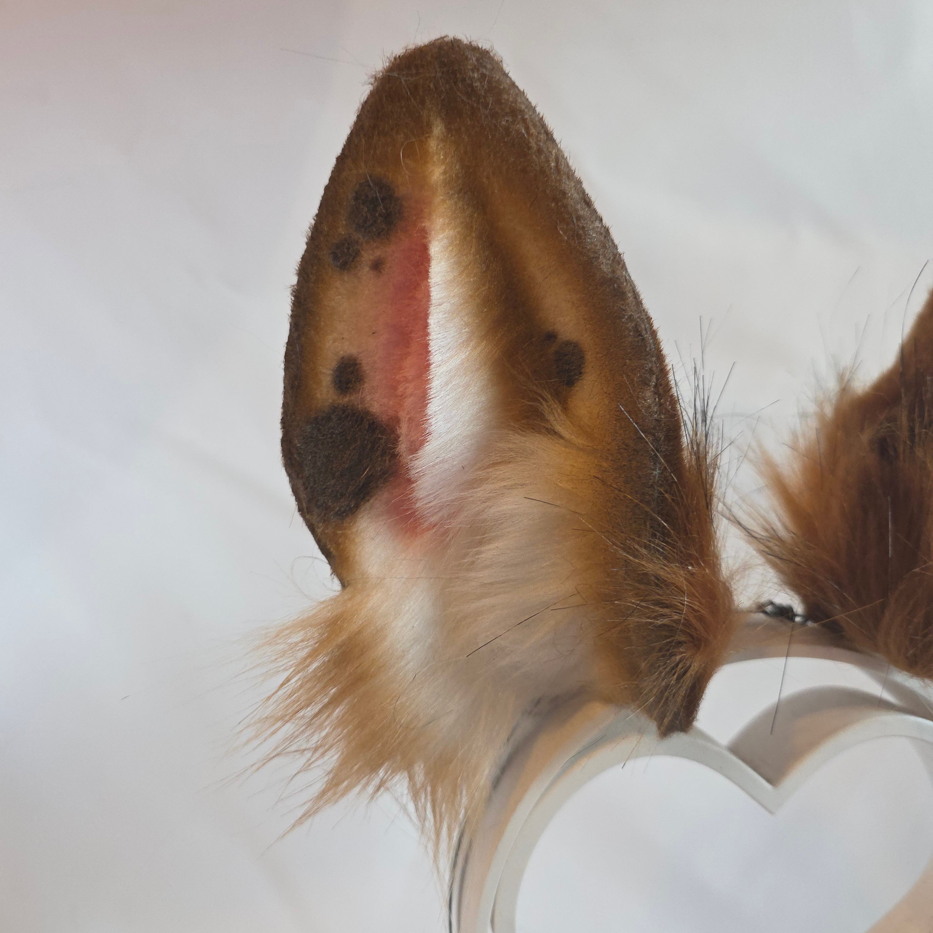 Ginger Bunny Ears, T-fhoghar