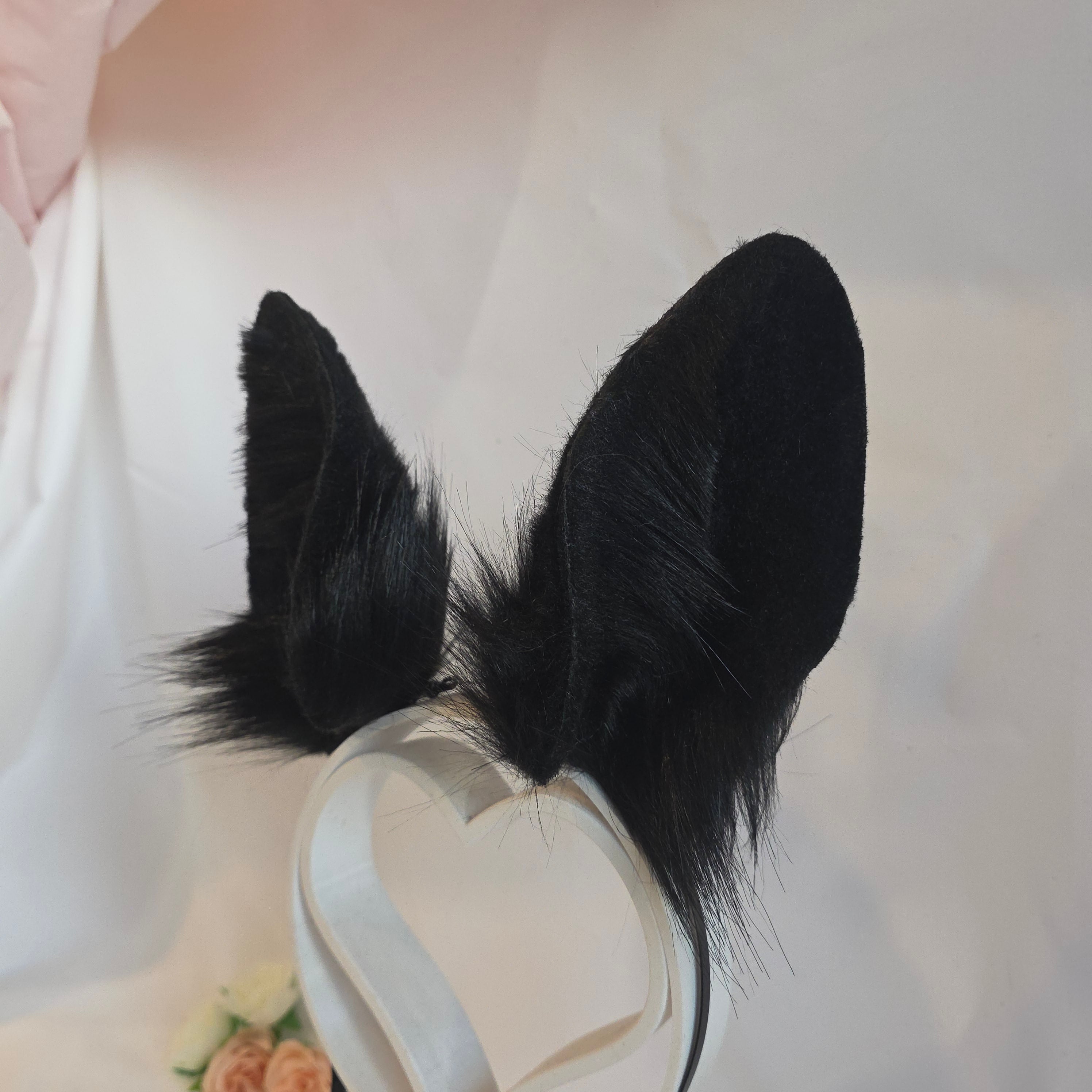Black Bunny Ears, Morion Quartz