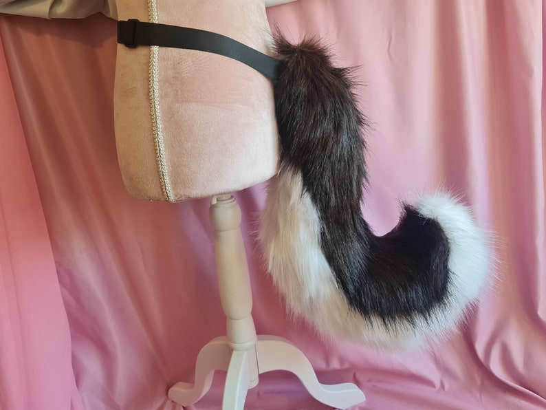 BROWN SHIBA PUPPY tail