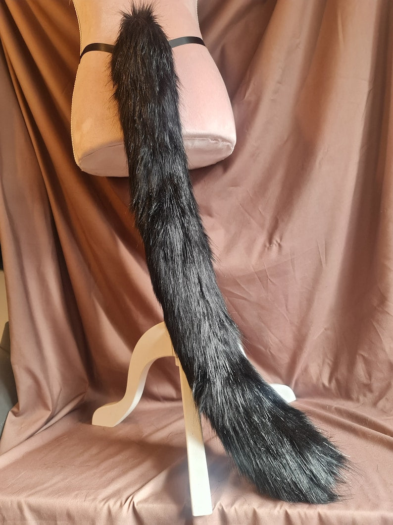 BLACK CAT Tail and Ears